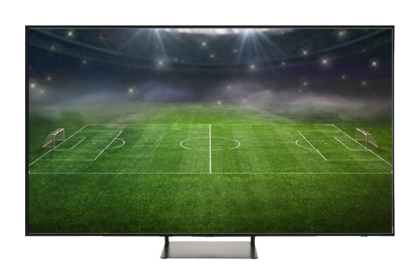 Televisor SAMSUNG TQ65S90C